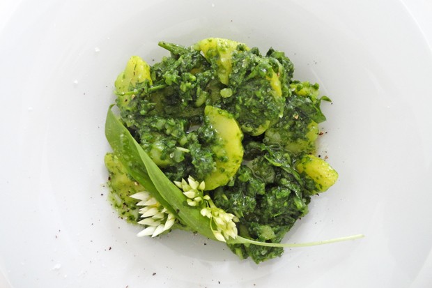 Kartoffeln mit Bärlauchpesto