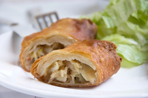 Vegetarische Frühlingsrollen