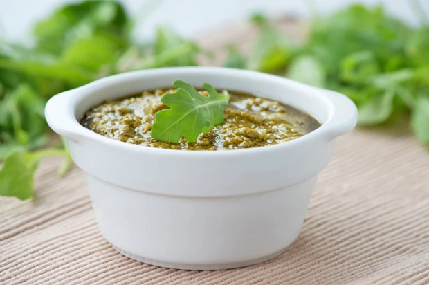 Rucola-Pesto