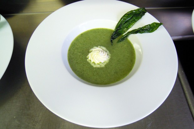 Bärlauchcremesuppe