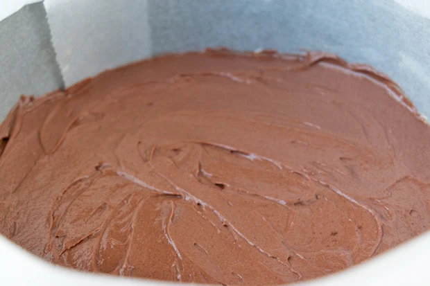 Polnischer Schokokuchen