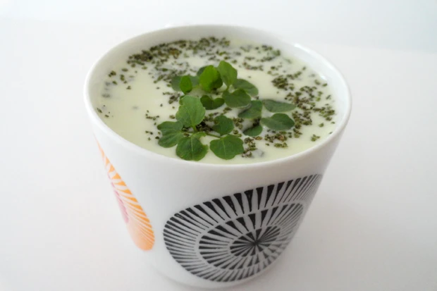 Gr&uuml;ner Smoothie mit Brunnenkresse