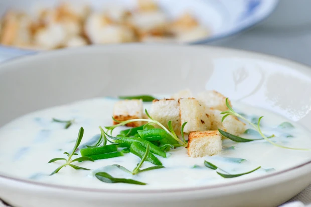 Fisolencremesuppe
