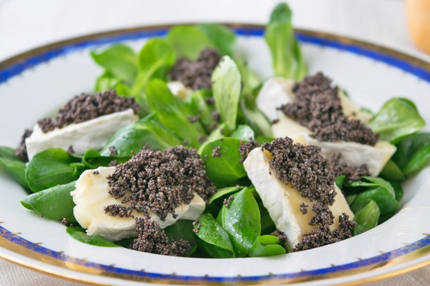 Vogerlsalat mit Mohn-Camembert