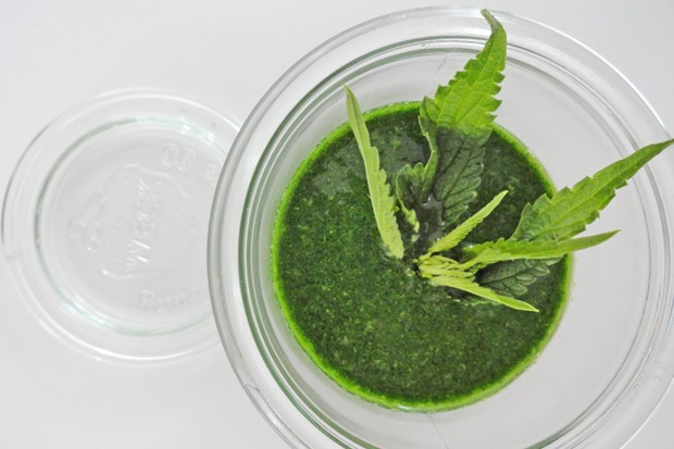 Brennnessel-Spinat-Paste