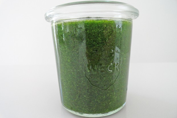 Brennnessel-Spinat-Paste