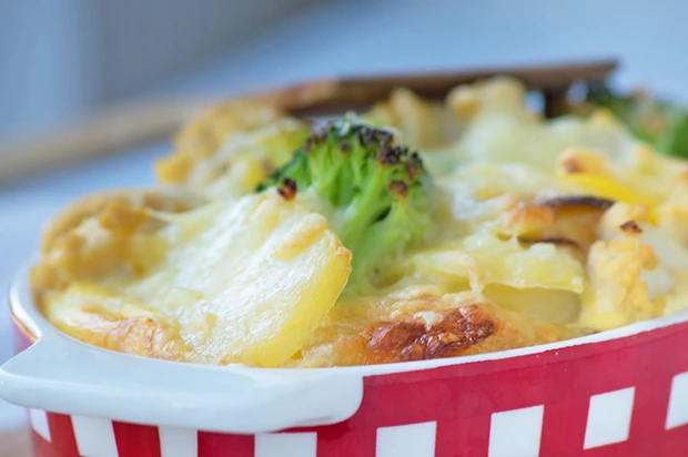 Gratin mit Gemüse
