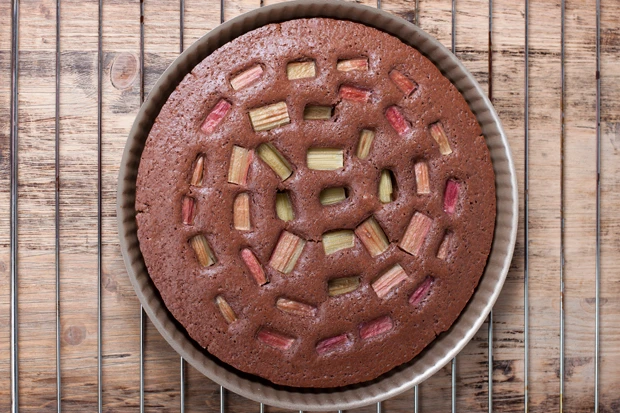 Schoko-Rhabarber-Kuchen mit Haseln&uuml;ssen