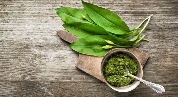 Bärlauch-Pesto