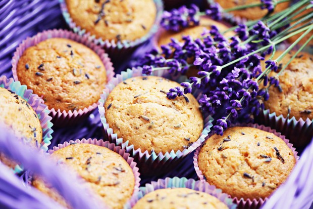 Lavendel Muffins