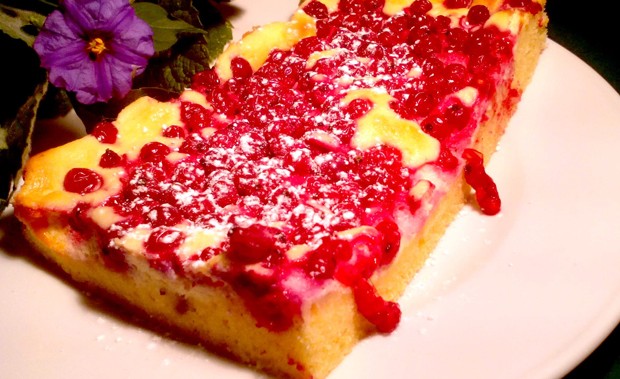 Ribiselkuchen mit Topfen