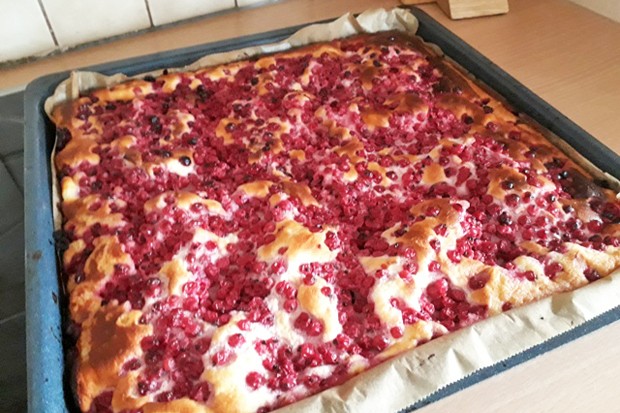 Ribiselkuchen mit Topfen - Rezept