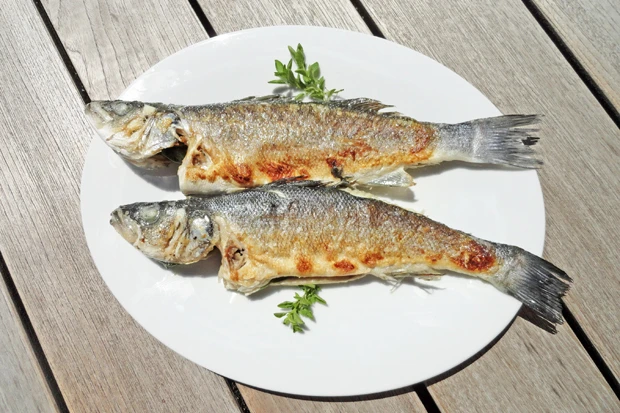 Gegrillter Wolfsbarsch