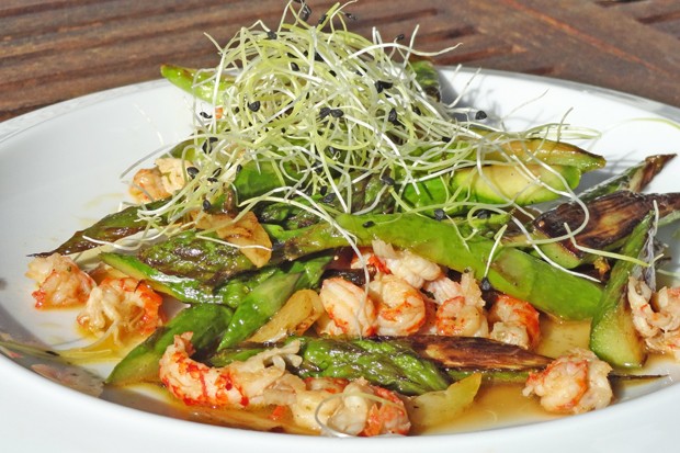 Spargelragout mit Garnelen