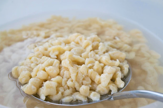 Sp&auml;tzleteig mit Topfen