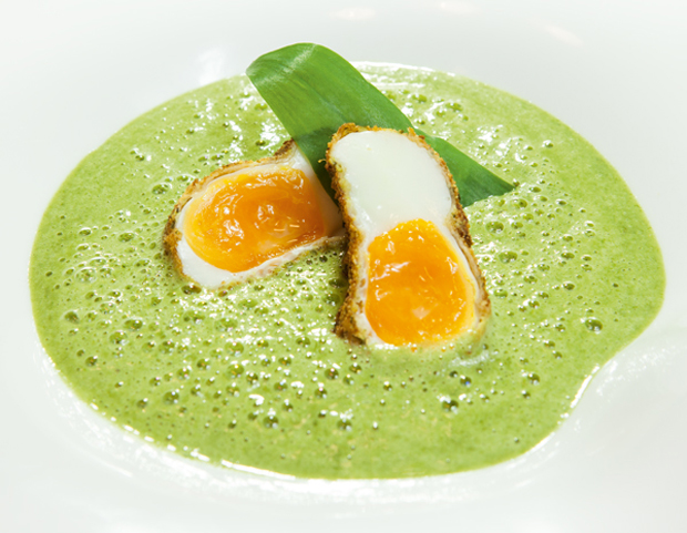 Kräuterschaumsuppe mit knusprigem Ei