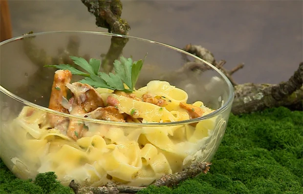 Pasta mit Eierschwammerl