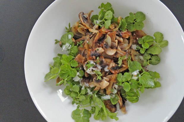 Brunnenkressesalat
