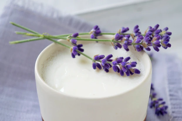 Lavendel Panna Cotta