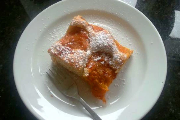 Marillen Blechkuchen mit Joghurt