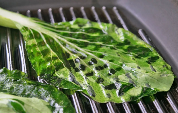Pak Choi vom Grill