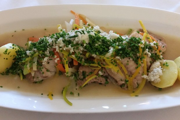 Welsfilet mit Gemüse