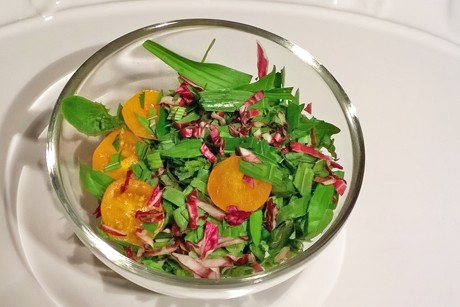 Spitzwegerichsalat