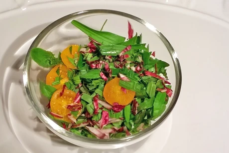 Spitzwegerichsalat