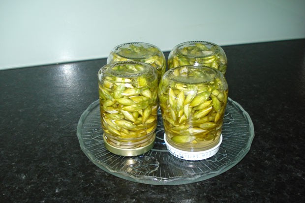 Bärlauchblütenknospen eingelegt