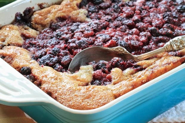 Brombeerkuchen mit Joghurt