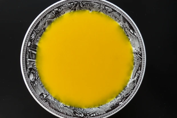 Mangosuppe