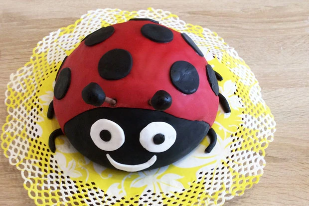 Marienk&auml;ferkuchen