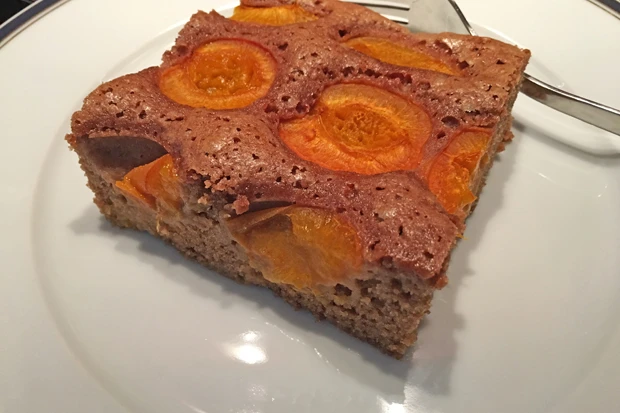 Schoko Marillenkuchen