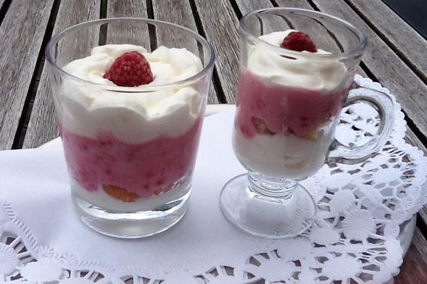 Himbeer-Joghurt-Dessert