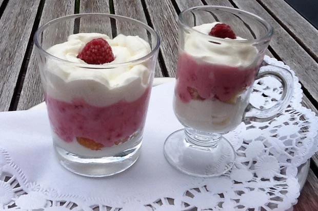 Himbeer-Joghurt-Dessert
