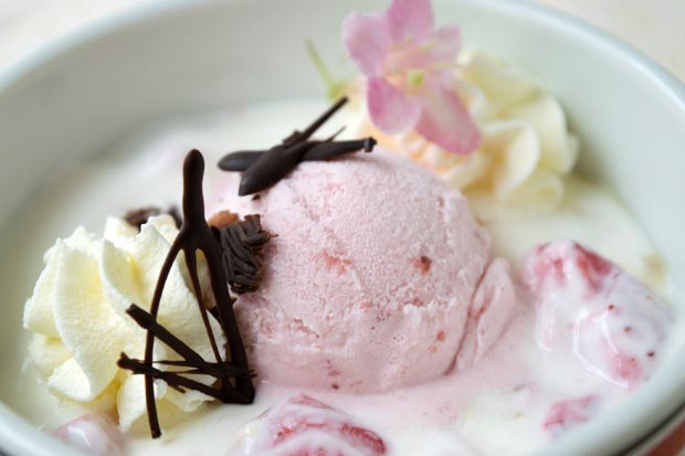 Erdbeereis mit Naturjoghurt und frischen Erdbeeren