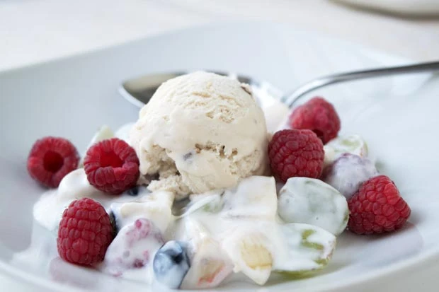 Fruchtjoghurt mit frischen Fr&uuml;chten und Eis