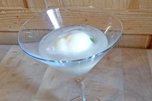 Sekt mit Zitroneneis