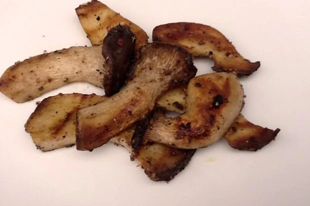 Gegrillte Kr&auml;uterseitlinge
