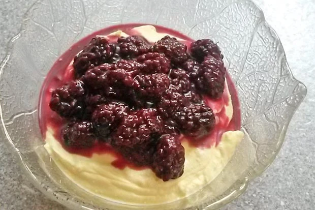 Topfencreme mit heißen Brombeeren