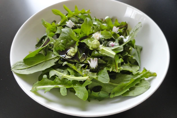 L&ouml;wenzahn-Salat mit K&uuml;rbiskern&ouml;l-Dressing
