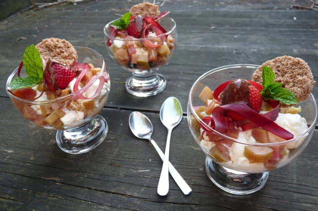 Schokoladengetunkte Erdbeeren auf Vanilleeis mit Rhabarber-Pickles und Kakao-Biskuittaler