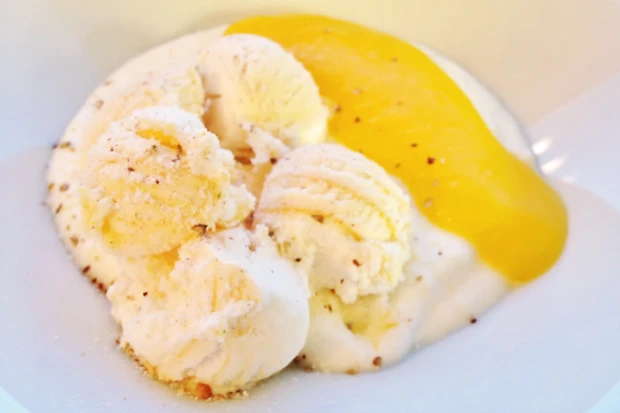 Eis auf Kokosschaum mit Mangop&uuml;ree