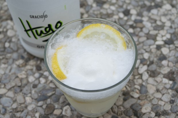 Hugo on Mövenpick Eis