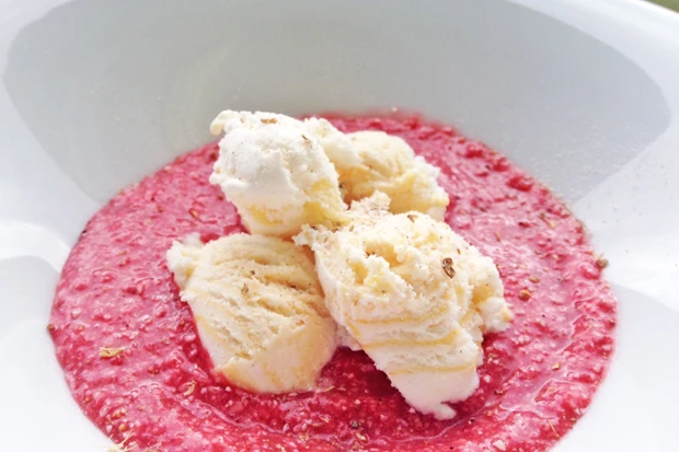 Eis auf Erdbeer-Kokosp&uuml;ree