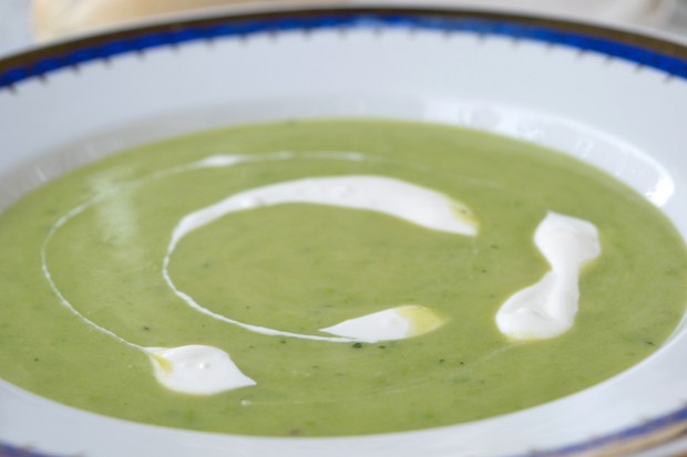 Kalte Erbsen-Minz-Joghurt-Suppe