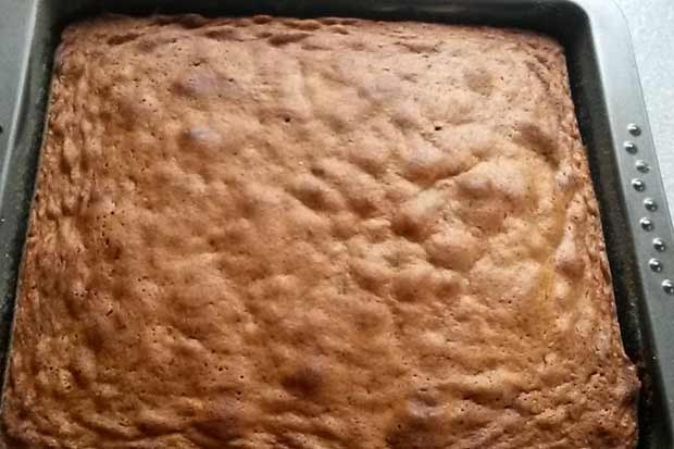 Einfacher Kakaokuchen