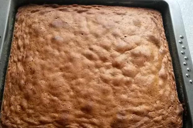 Einfacher Kakaokuchen
