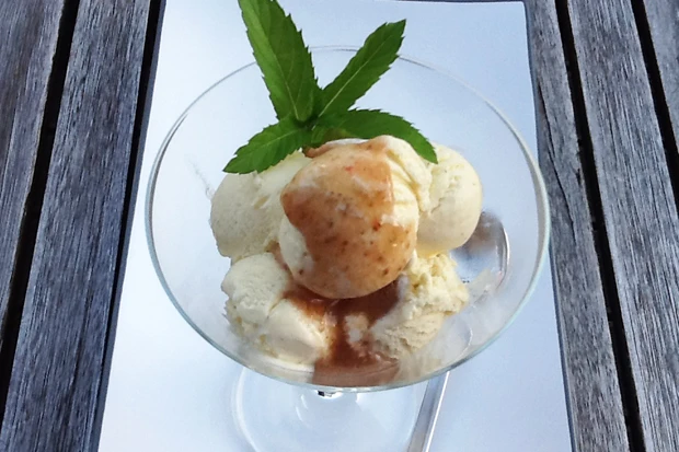 Vanilleeis mit Feigenmus