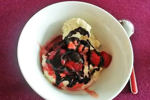 Vanilleeis mit Erdbeersauce
